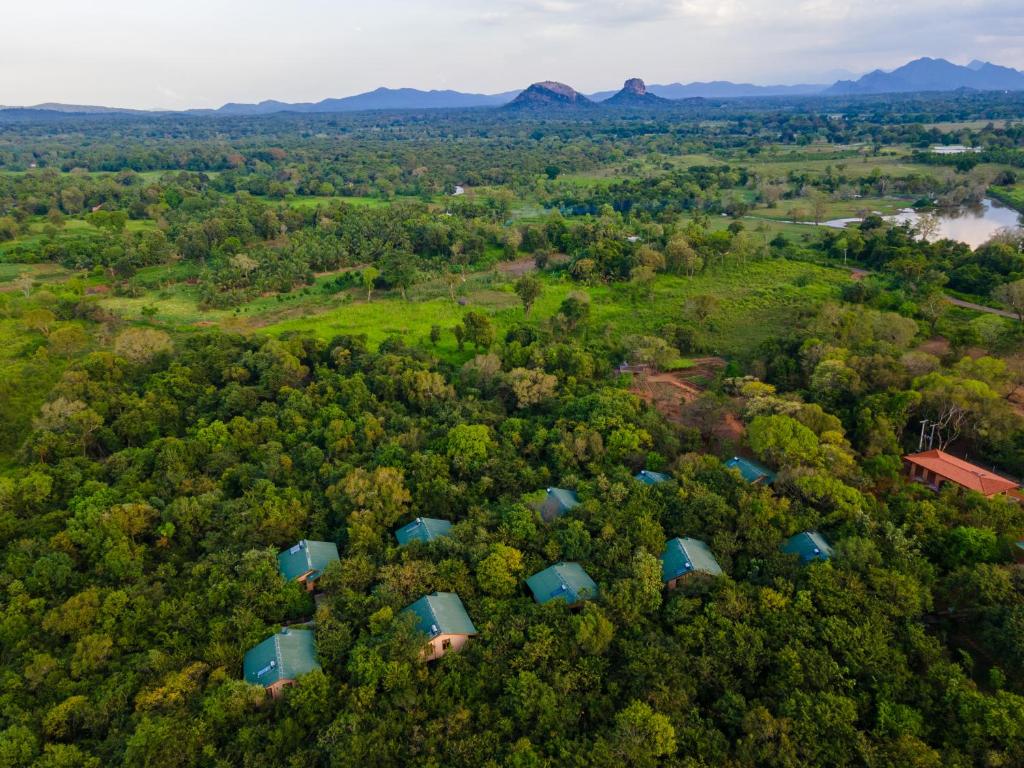 an overhead view of a forest with blue roofs at Sigiriya Forest Edge By Marino Leisure in Sigiriya