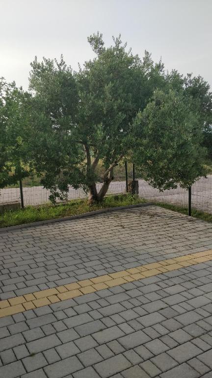 Fotografie z fotogalerie ubytování Apartment Lavinia v destinaci Zadar