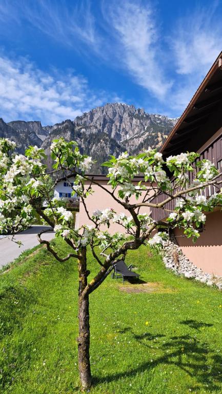 a tree with white flowers in front of a building at Ferienwohnung Bär Außerbraz in Innerbraz