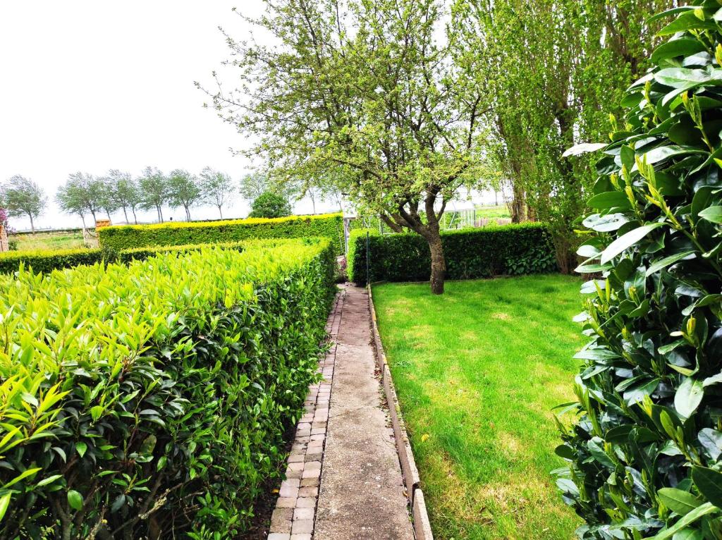 Zahrada ubytování B&B Het Polderhof