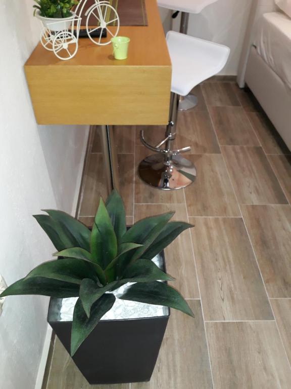 uma planta sentada no chão ao lado de uma secretária em DramaMine2 em Drama