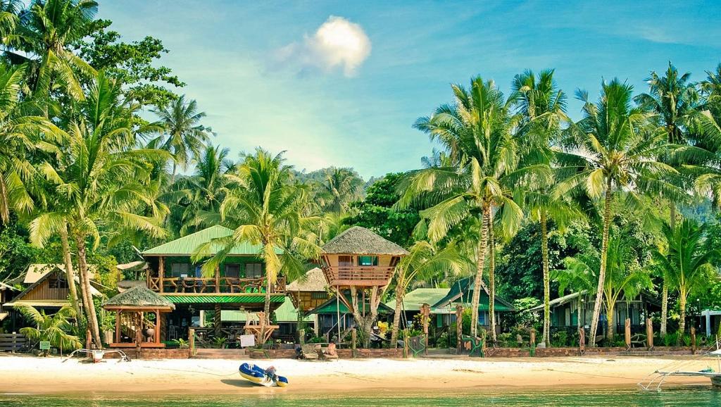 um resort numa praia com palmeiras em Ausan Beach Front Cottages em San Vicente