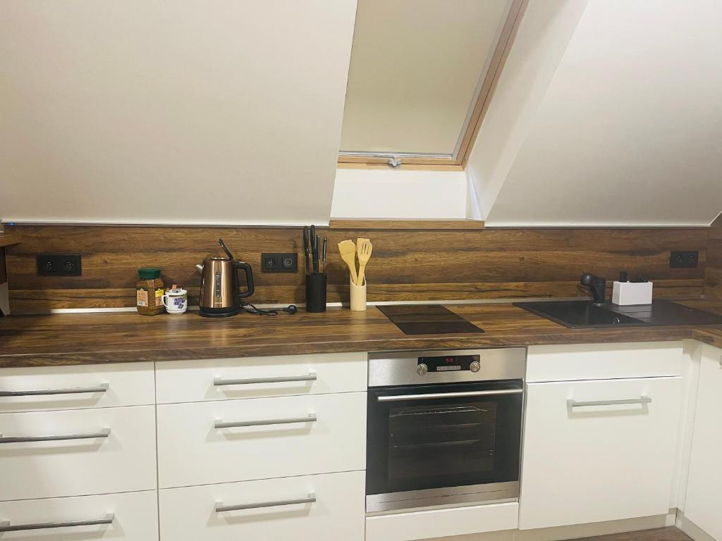 Kuchyň nebo kuchyňský kout v ubytování Jenys Apartment Usti 2