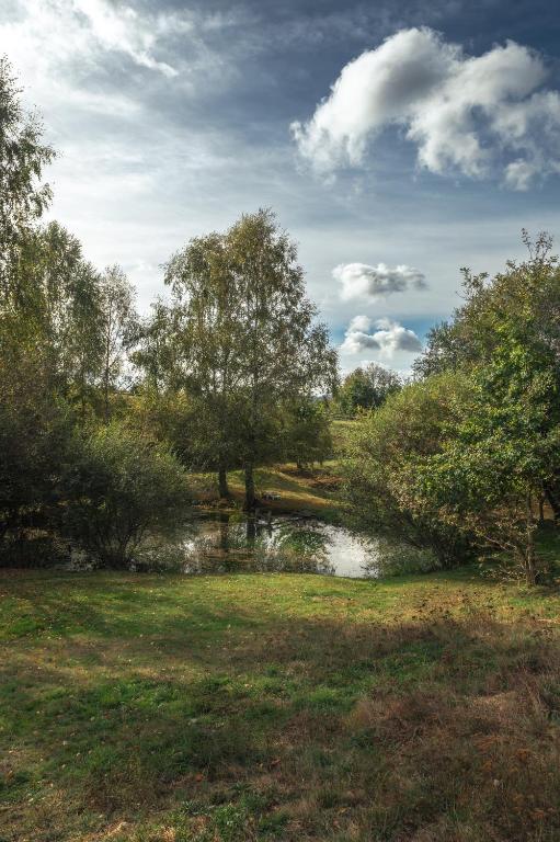 un étang dans un champ avec des arbres et une rivière dans l'établissement Domaine Abbey-Rose, à Champsac