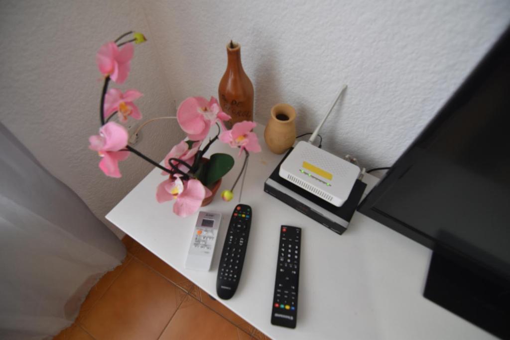 TV a/nebo společenská místnost v ubytování RNET - MTA Apartaments A1