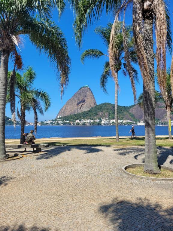 einen Park mit Palmen und einem Berg im Hintergrund in der Unterkunft Apartamento espaçoso in Rio de Janeiro