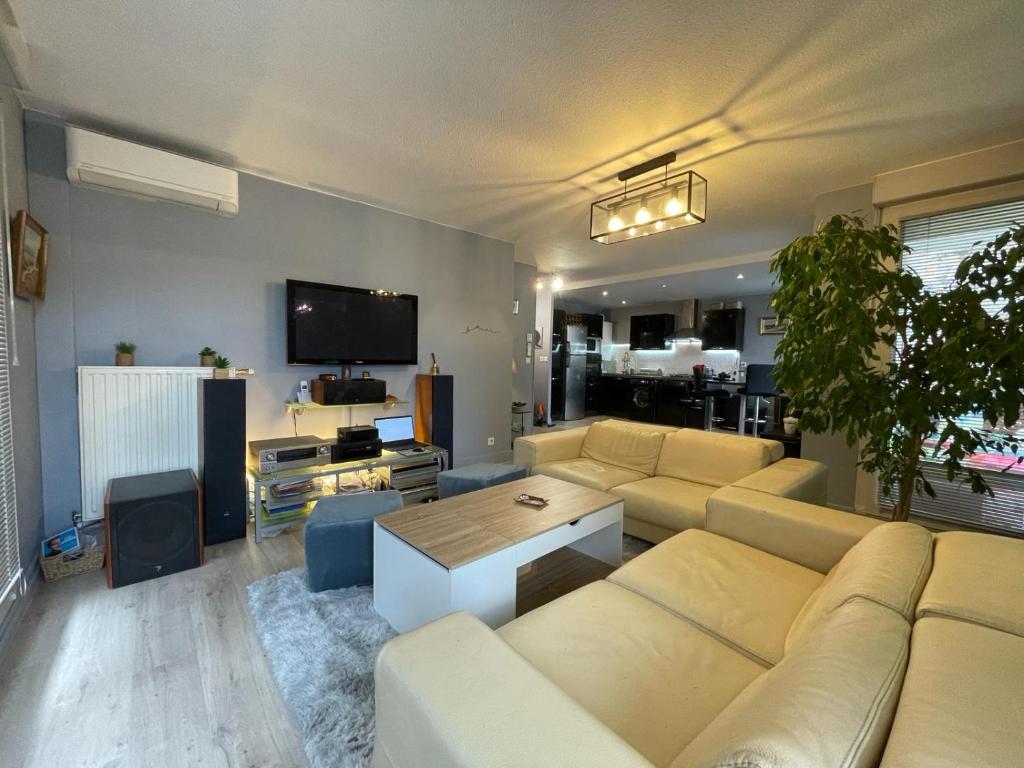 a living room with a couch and a tv at Appartement très proche centre LYON, 4 personnes in Caluire-et-Cuire