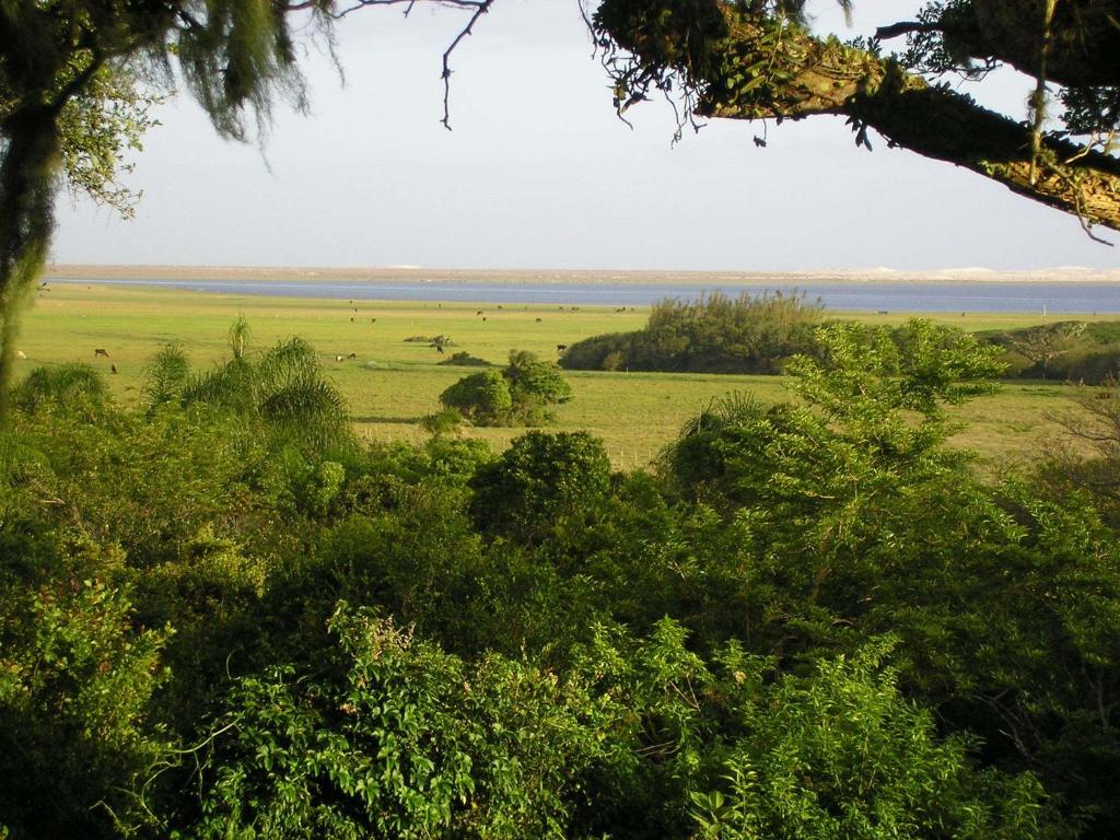a view of a field with animals in the distance at Aldeia Santuario das Aves in Tavares
