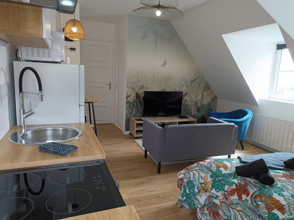 cocina y sala de estar con fregadero y sofá en Elégant Studio ~Hyper Centre~, en Coutances