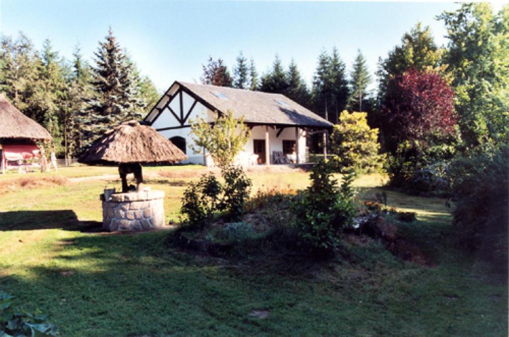 a house with a thatched roof in a yard at Gîte de France Le puy de diane (le dignou) 3 épis - Gîte de France 5 personn 574 