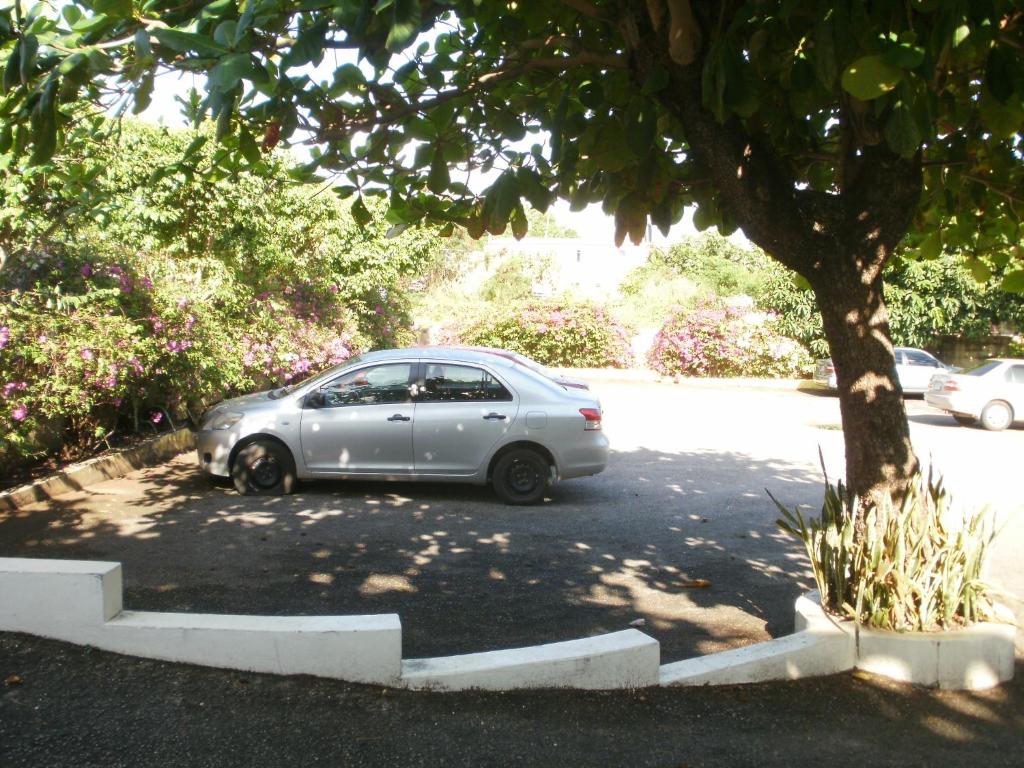 Fotografie z fotogalerie ubytování Pineapple Court Hotel v destinaci Ocho Rios