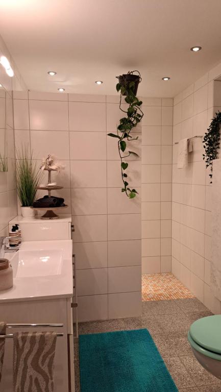 Koupelna v ubytování Aloha Annaberg