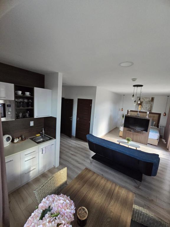 Kuchyň nebo kuchyňský kout v ubytování Apartmány Pulse