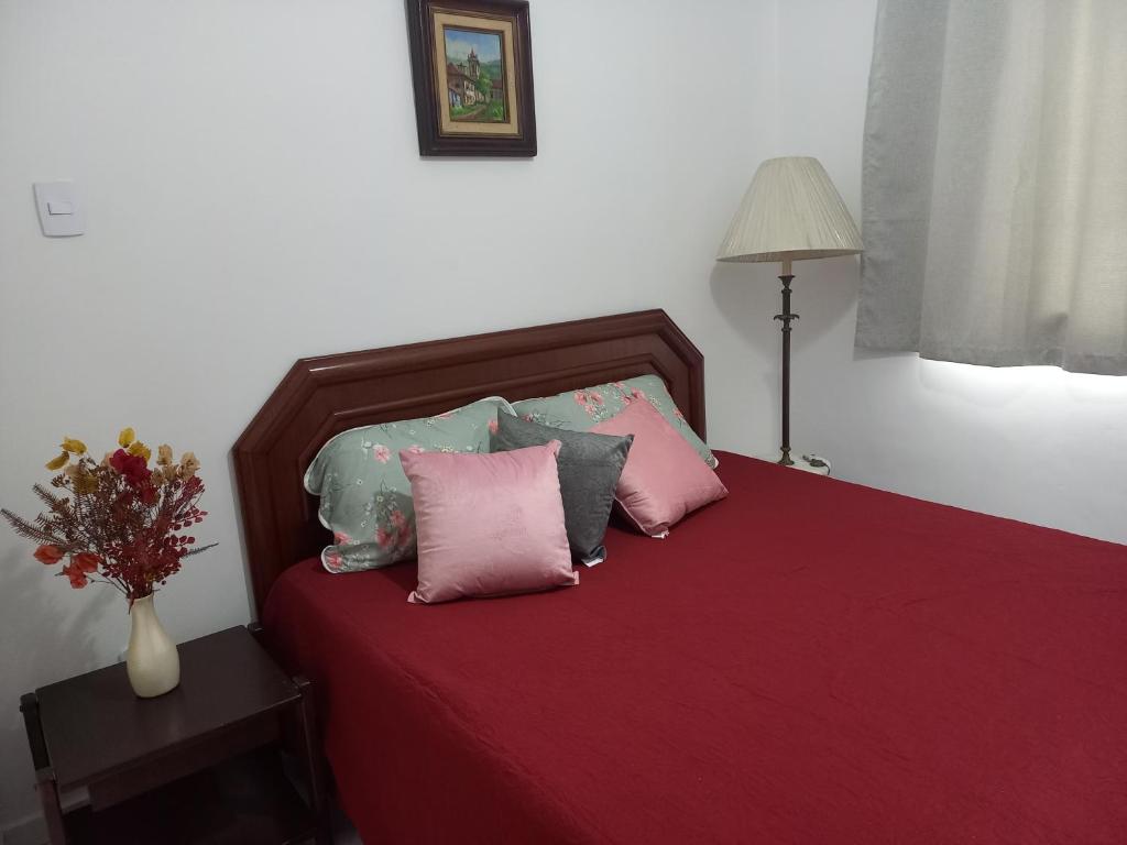 a bed with pink and blue pillows in a bedroom at 1 Quarto Turismo Teresópolis in Teresópolis