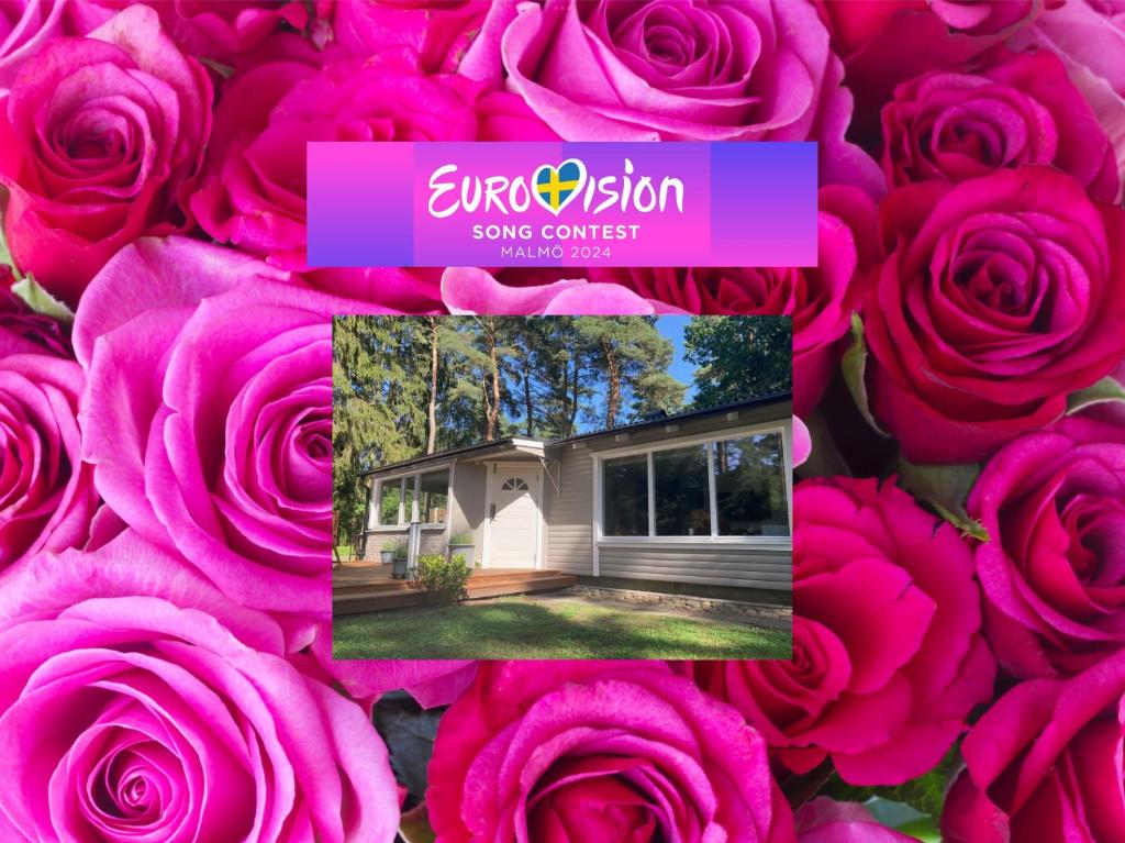 uma colagem de rosas rosas com uma casa em Nordic Relax House - WoodHouse em Sjöbo
