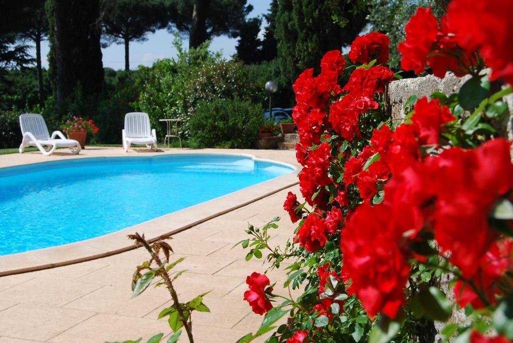 una piscina con flores rojas delante de ella en Ai due Cedri en Capranica