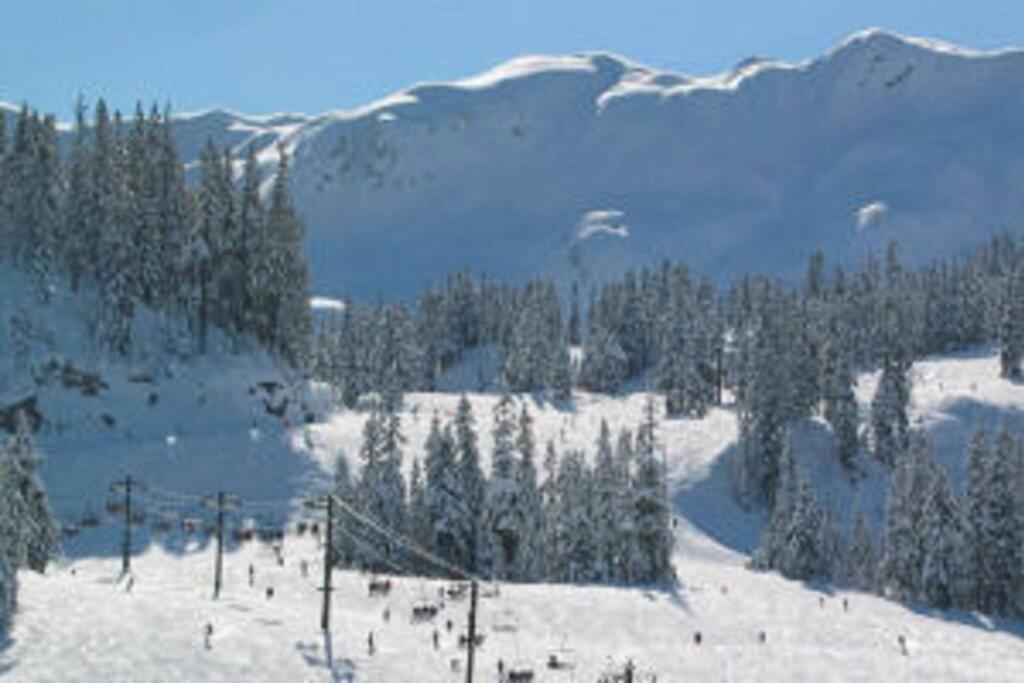 Mountainview Lodge talvel