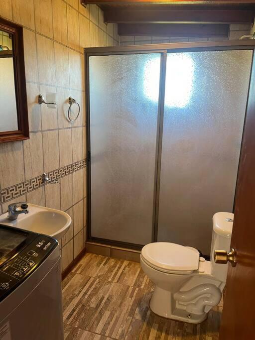 Departamento en Pitrufquén