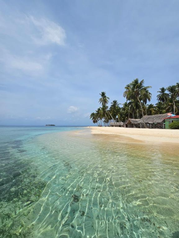 una playa con un grupo de palmeras y agua en hospedaje en las islas de San blas habitacion privado con baño compartido, en Achoertupo