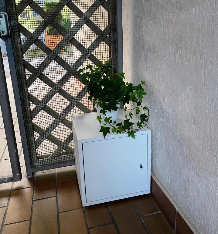 a white cabinet with a plant on it next to a wall at MiniAppartamento Laura - Piano terra in Chioggia