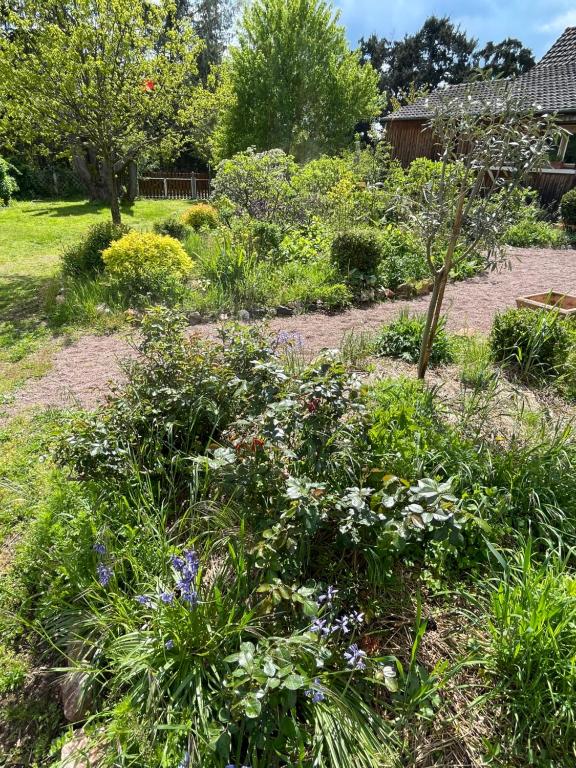 Zahrada ubytování Chambre d'hôtes de charme Jolie futaie en forêt de Tronçais