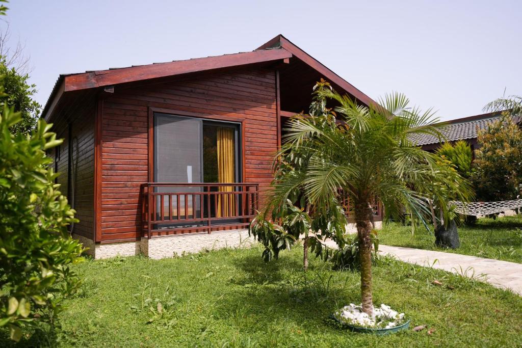 una pequeña casa con una palmera delante de ella en Cirali Villas 2, en Cıralı