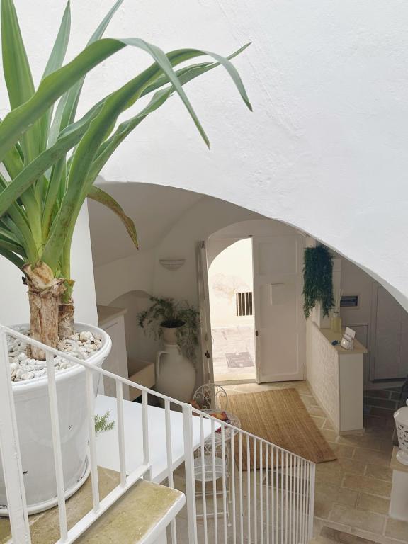 Palmieri Luxury Rooms - 9