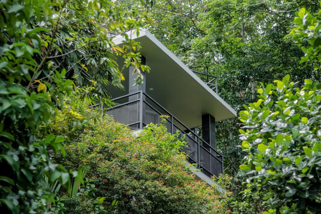 Maram Resort Mamalakandam - King Room Met Uitzicht Op De Bergen