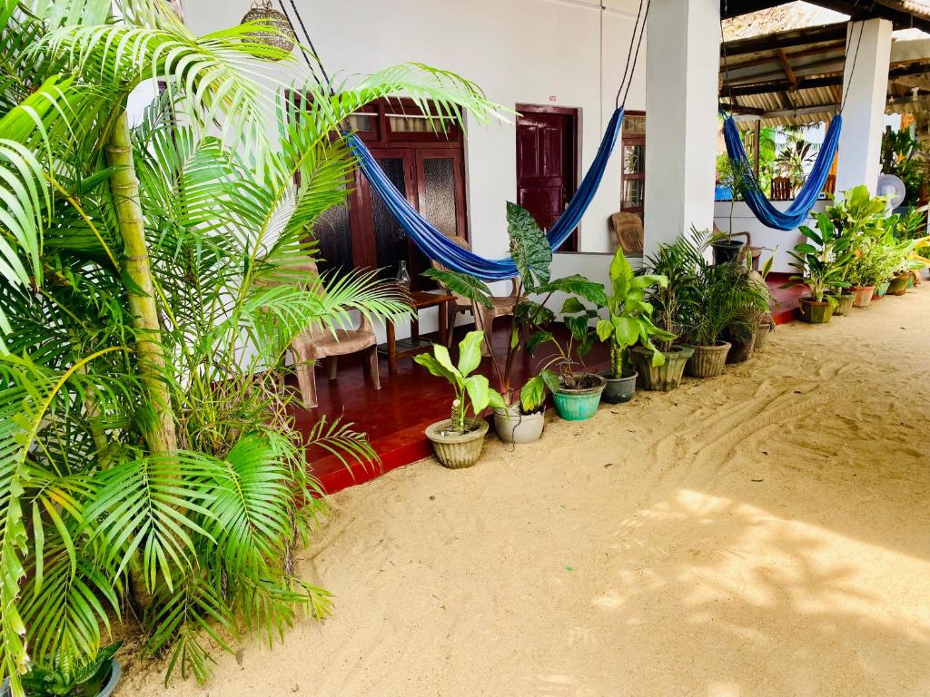 Tropicana Home Stay - 14