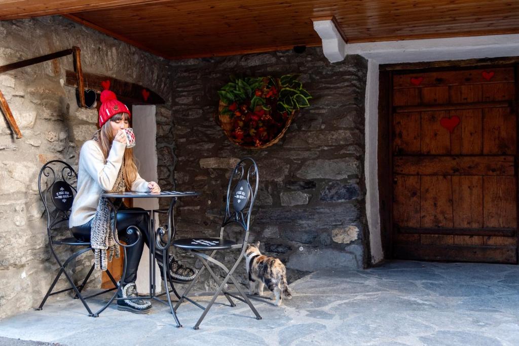 Hosté ubytování Casa Netto
