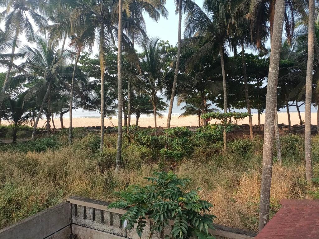 a view of the beach from a resort with palm trees at Raaga on the Beach in Kannur