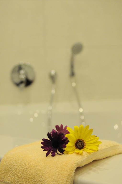 Hotel Restaurant Doppeladler - 13