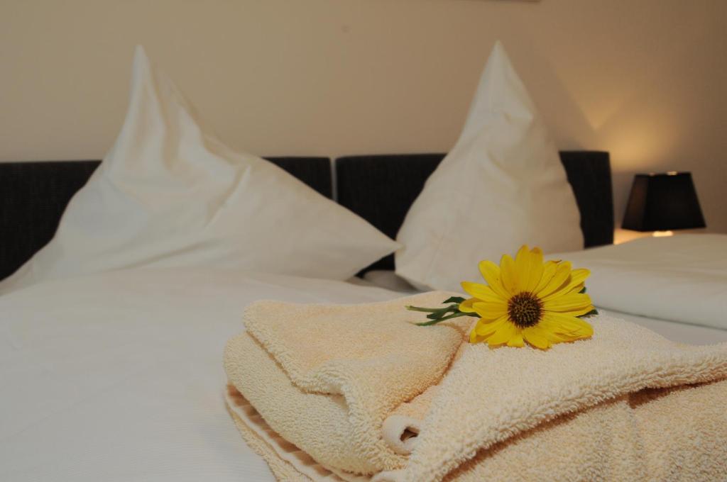 Hotel Restaurant Doppeladler - 17