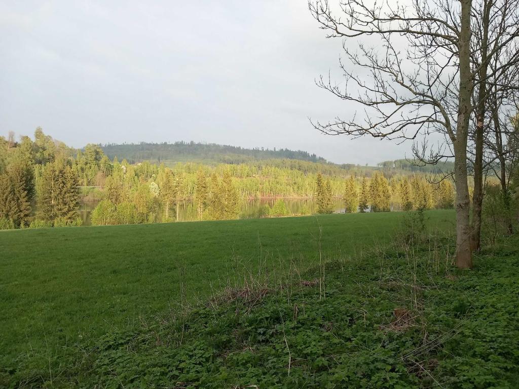 Příroda nedaleko luxury tent