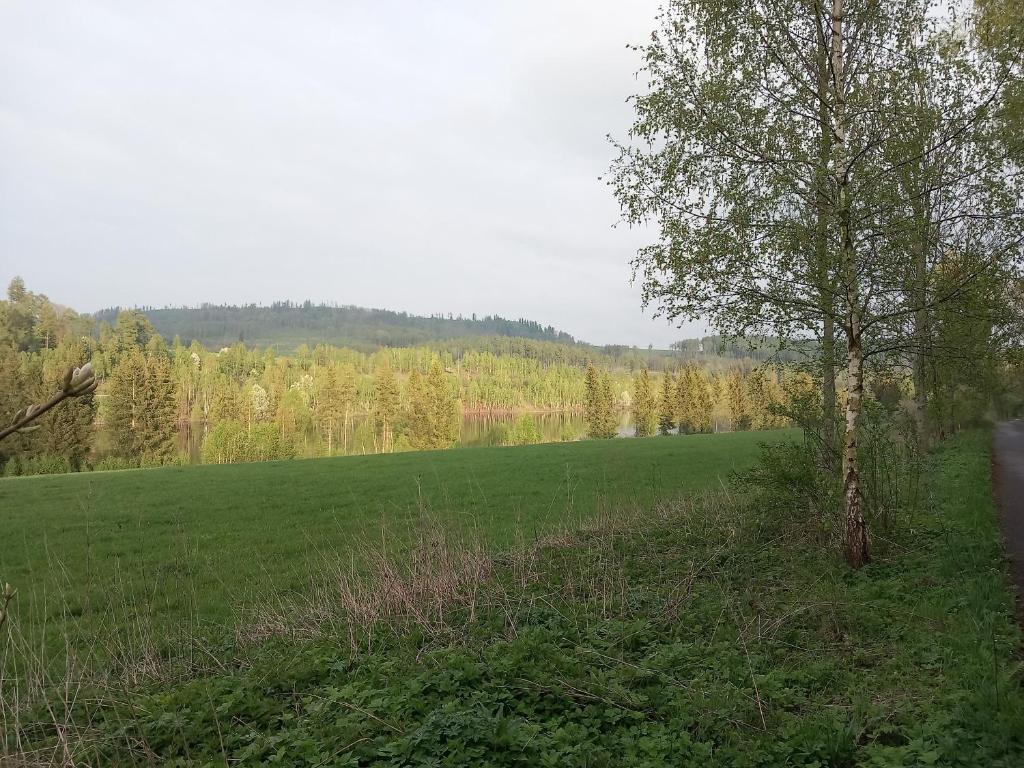 Příroda nedaleko luxury tent