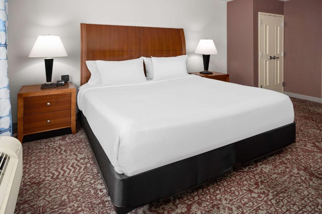 Hilton Garden Inn Milford - Suite King De Un Dormitorio Con Sofá Cama