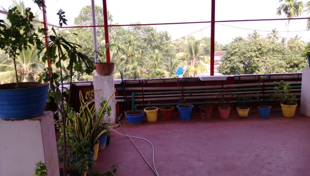 Zahrada ubytování Elim Homestay Fort Kochi