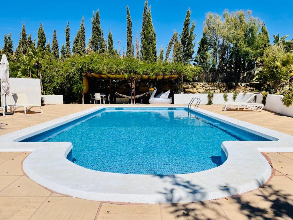 basen na dziedzińcu z patio i drzewami w obiekcie Mojacar farmhouse apartments with pool w mieście Los Gallardos