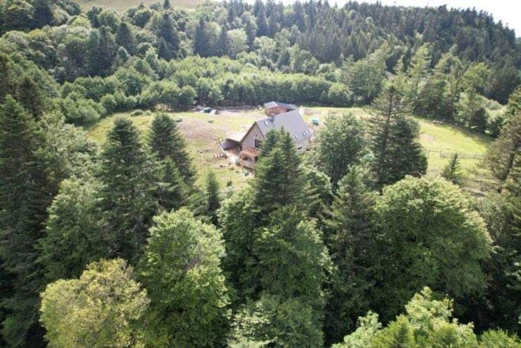 una vista aerea di una casa nel mezzo di una foresta di LE DOMAINE DE LA LOUVE BLANCHE a Le Mont-Dore