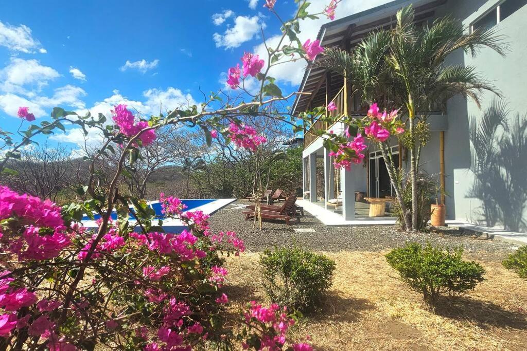 une maison avec des fleurs roses devant elle dans l'établissement Villa Ballena Art Project, à La Cruz