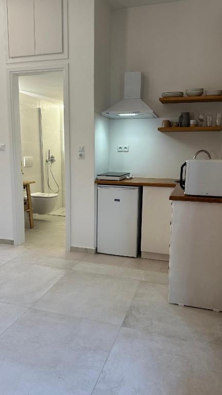 Kuchyň nebo kuchyňský kout v ubytování Papanestoras Apartments