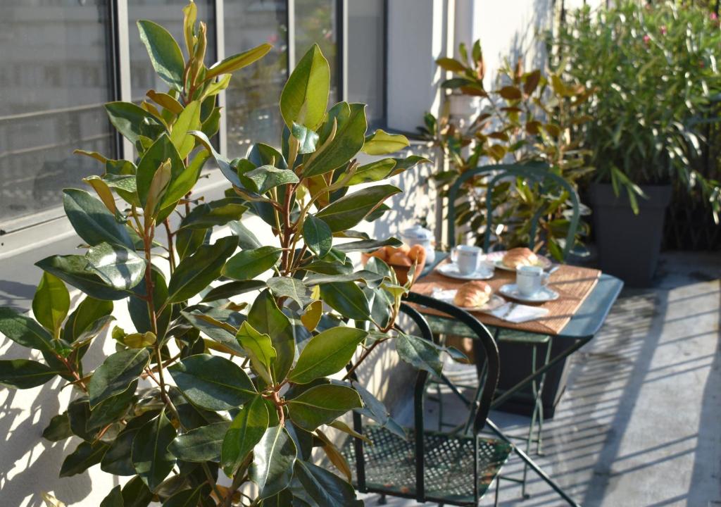 Zahrada ubytování Artist Loft