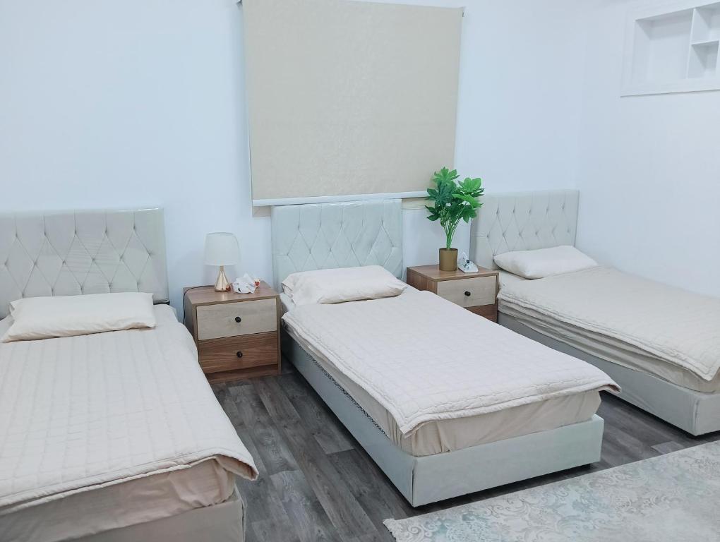 麥地那的住宿－Soma Apt，一间卧室设有两张床和盆栽植物