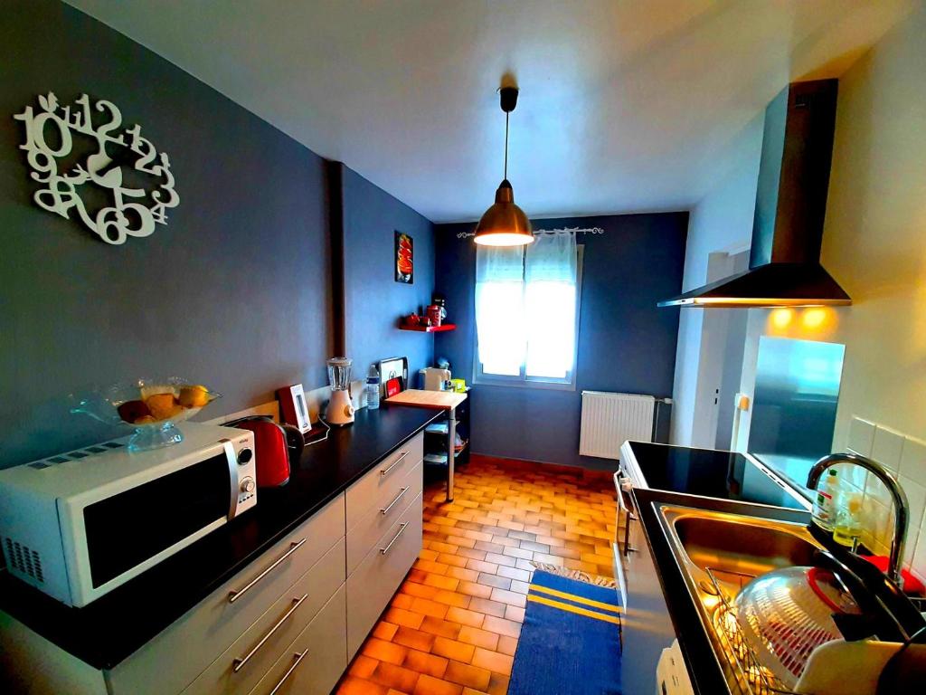 eine Küche mit einer Spüle und einer Mikrowelle auf der Theke in der Unterkunft Apartment 4 pers. 3 minutes from Clos Lucé in Amboise