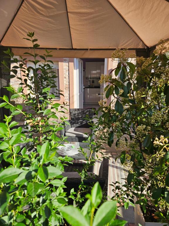 Apartments Benic - 15