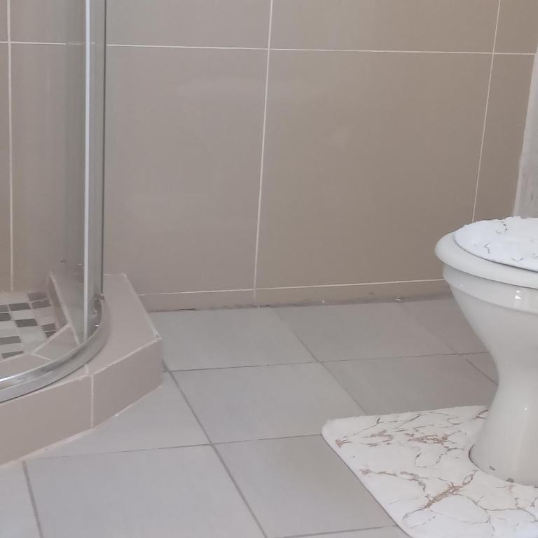 La salle de bains blanche est pourvue d'une douche et de toilettes. dans l'établissement Sandton guesthouse, 