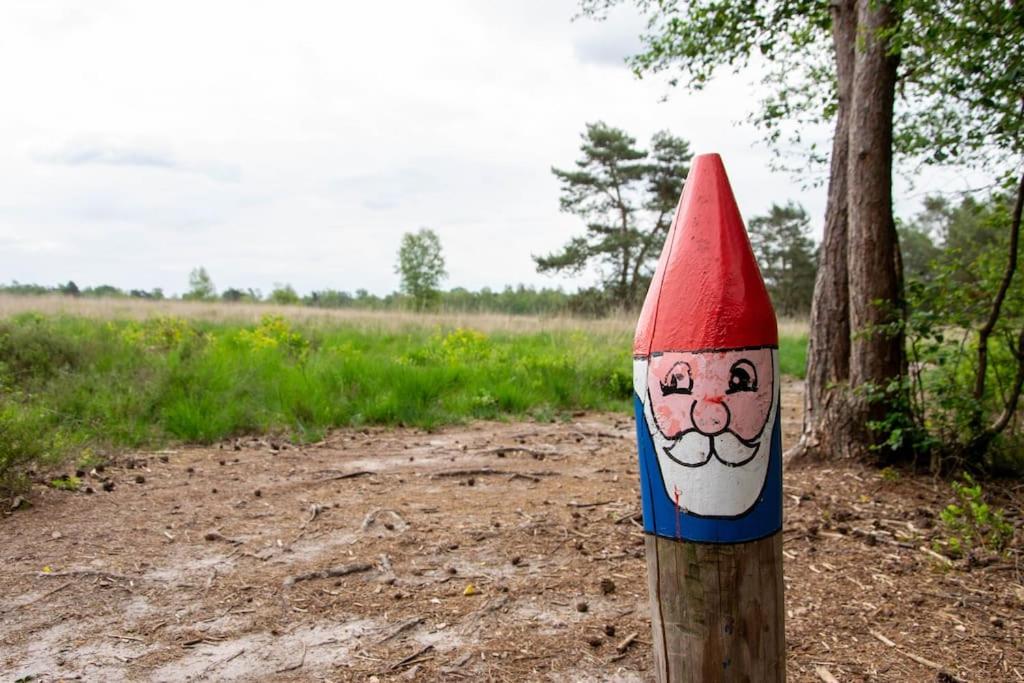 Příroda nedaleko chaty