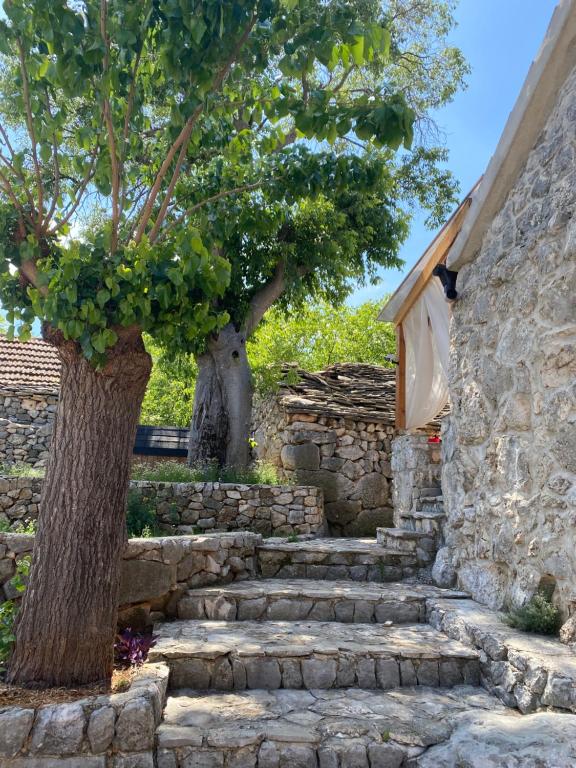 a stone stairway with a tree next to a building at Apartman Robi in Vrsine