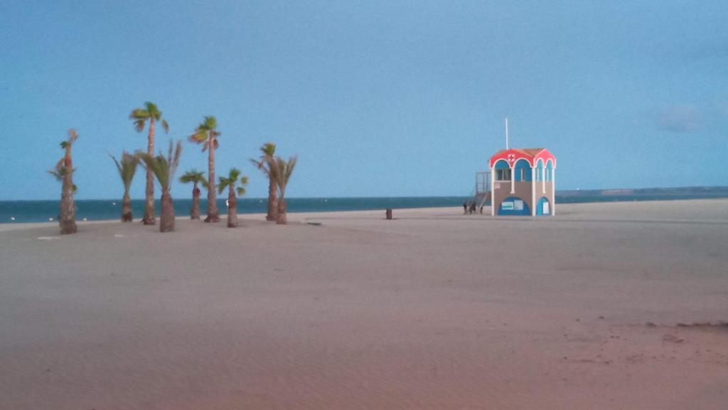 - un bâtiment sur la plage avec des palmiers et l'océan dans l'établissement Le Miami, à Port-la-Nouvelle