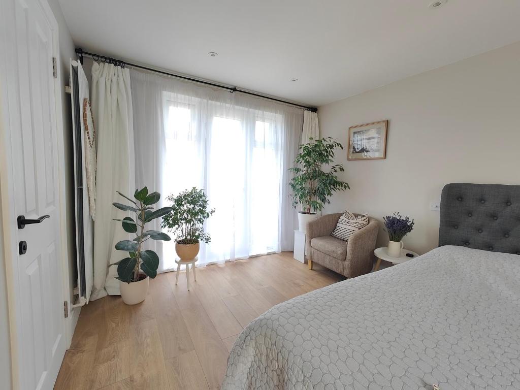 1 dormitorio con 1 cama, 1 silla y plantas en Modern large en suite loft room in Bromley, London en Bickley